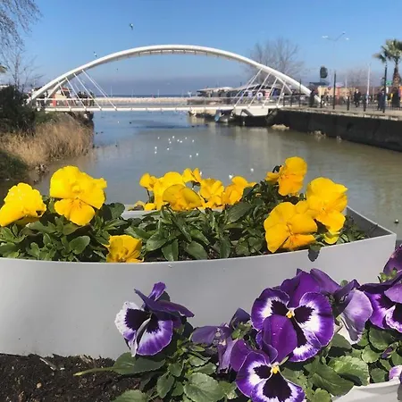 Yalova_merkez * Yalova (Yalova)